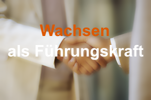 jwconsulting Führung